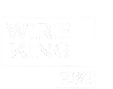 Guangdong Wireking Group logo