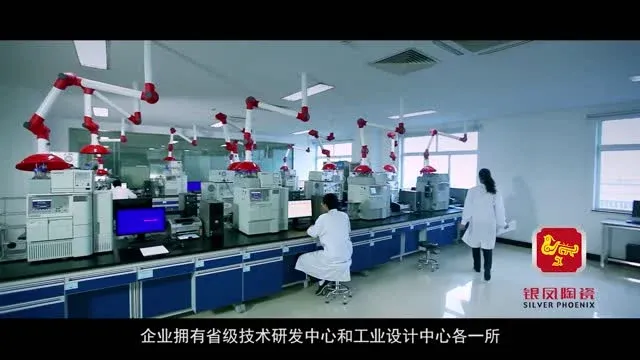 Shandong Yinfeng Co., Ltd. — company website image