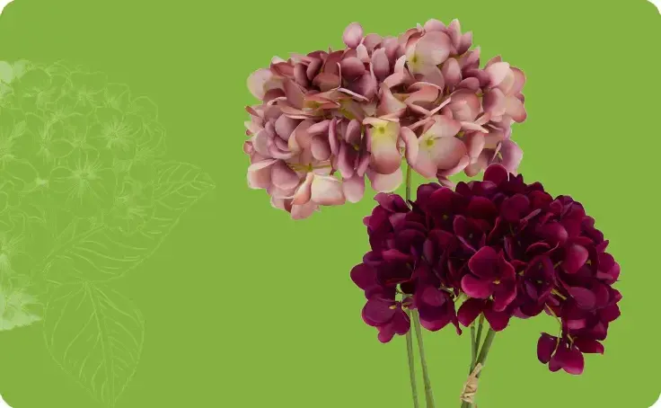 Zhejiang hansy craft CO,. ltd — company website image