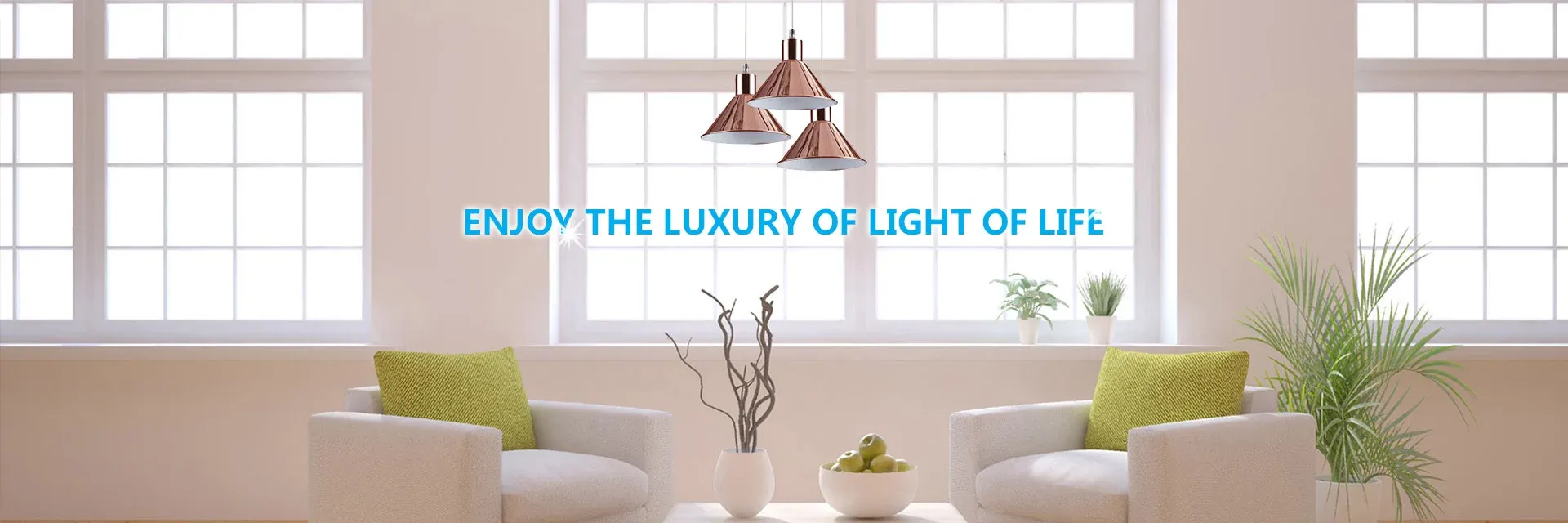 LEE-KEAR LIGHTING (DONG GUAN) CO., LTD. — company website image